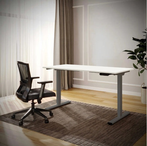 ErgoFlex™ – Electric Standing Desk 55" x 28" with Dual Motor & Memory