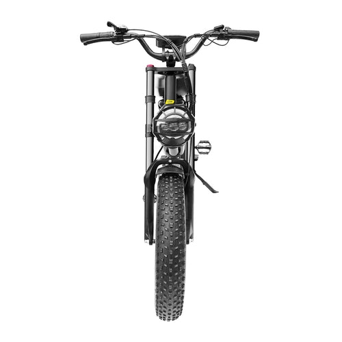 ⚡ BLJ-F4 RetroCruze™ – 20" Fat Tire Urban Electric Bike (1500W Dual