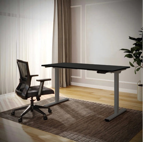 ErgoFlex™ – Electric Standing Desk 55" x 28" with Dual Motor & Memory